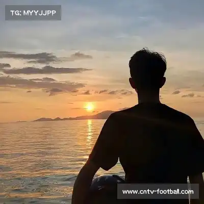 安辰家